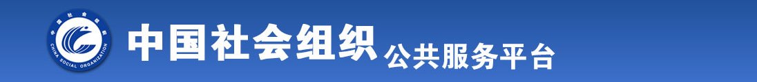 美女被艹啊啊啊啊啊啊啊全国社会组织信息查询